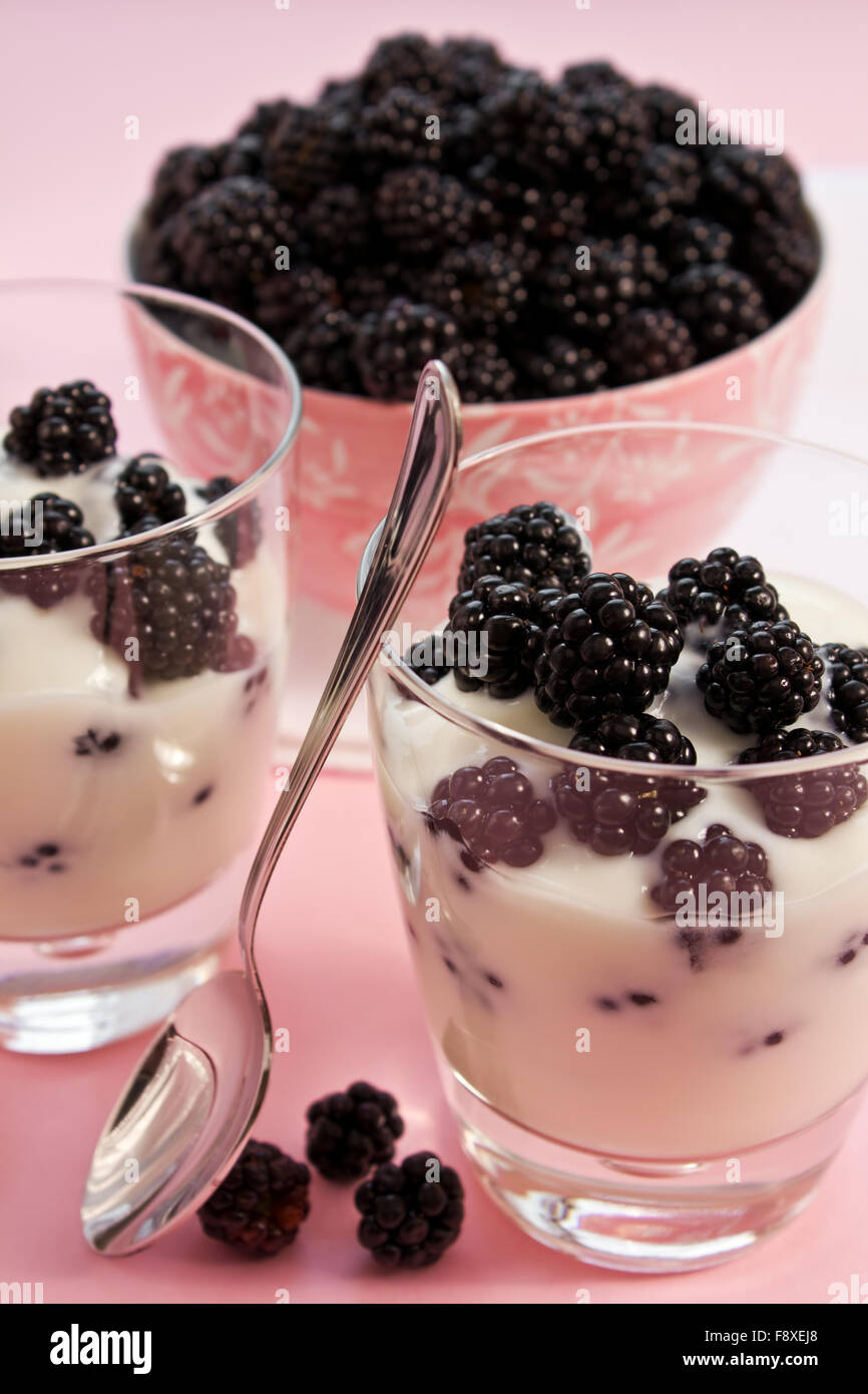 Yogurt with blackberries Stock Photo Alamy