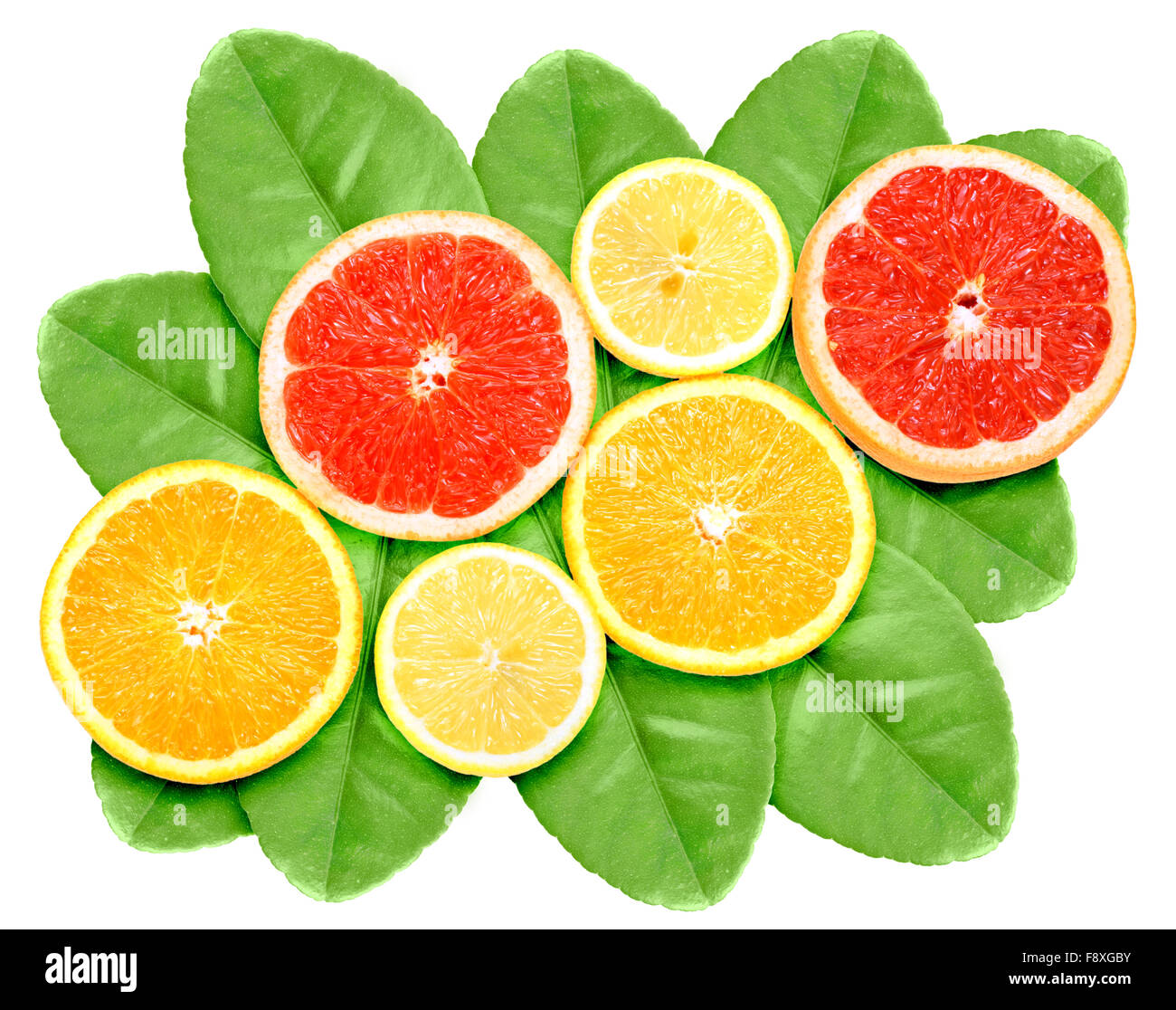 Set of cross citrus fruits on green leaf Stock Photo Alamy