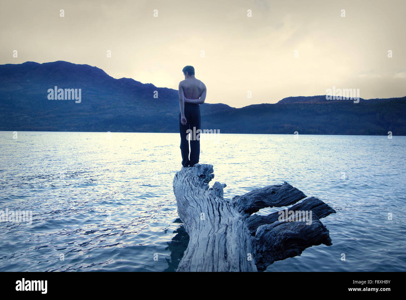 Standing Alone Tree High Resolution Stock Photography and Images - Alamy