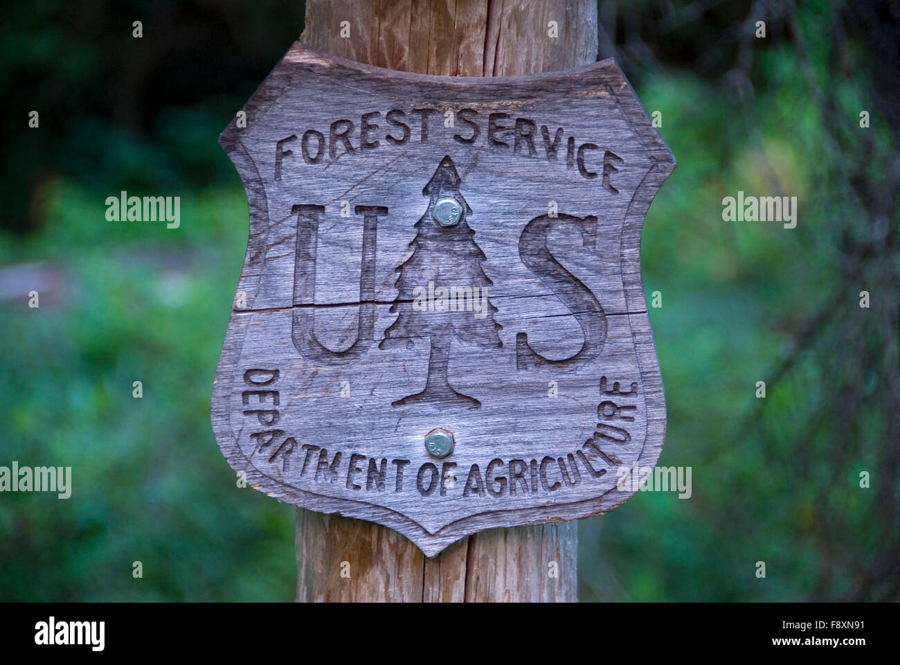 Forest Service emblem, Mission Mountains Wilderness, Flathead National Forest, Montana Stock Photo
