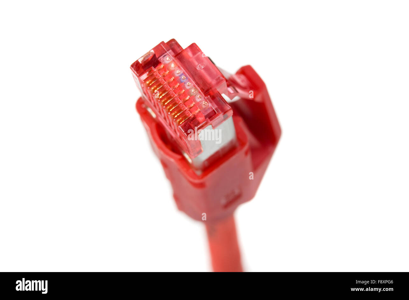 detail of a computer plug isolated on white background Stock Photo Alamy