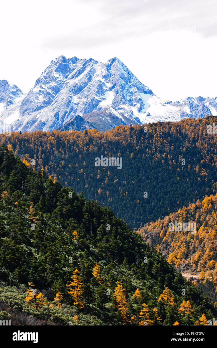 Mountain Ranges,Wooded Hillsides,Valleys,River Systems,Tibetan ...