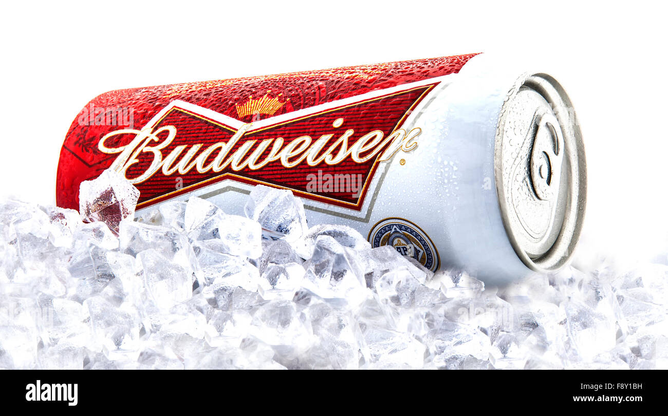 Can of Budweiser beer on a bed of ice over a white background Stock Photo
