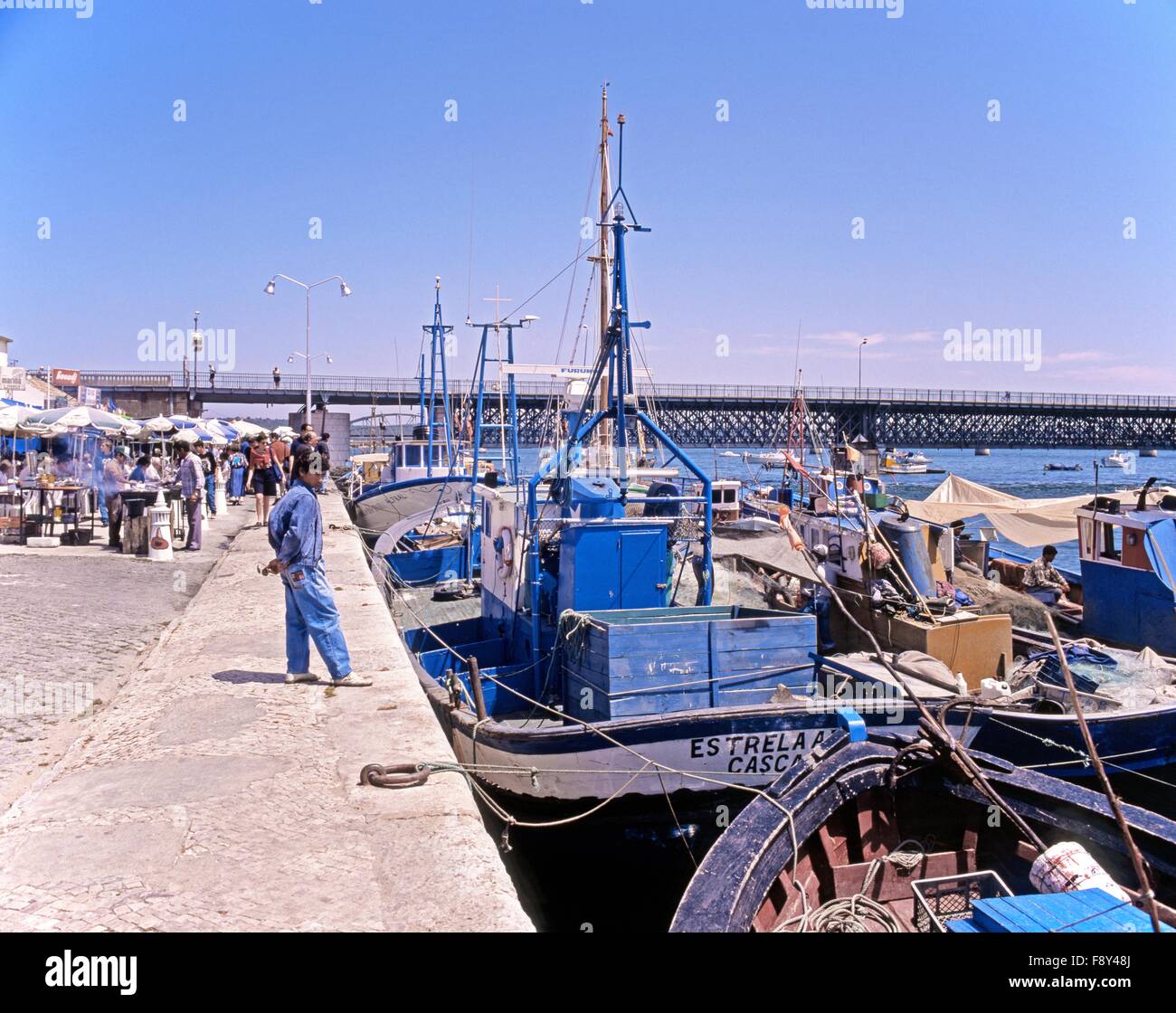Traditional fishing boats moored along the quayside, Portimao, Algarve, Portugal, Western Europe. Stock Photo
