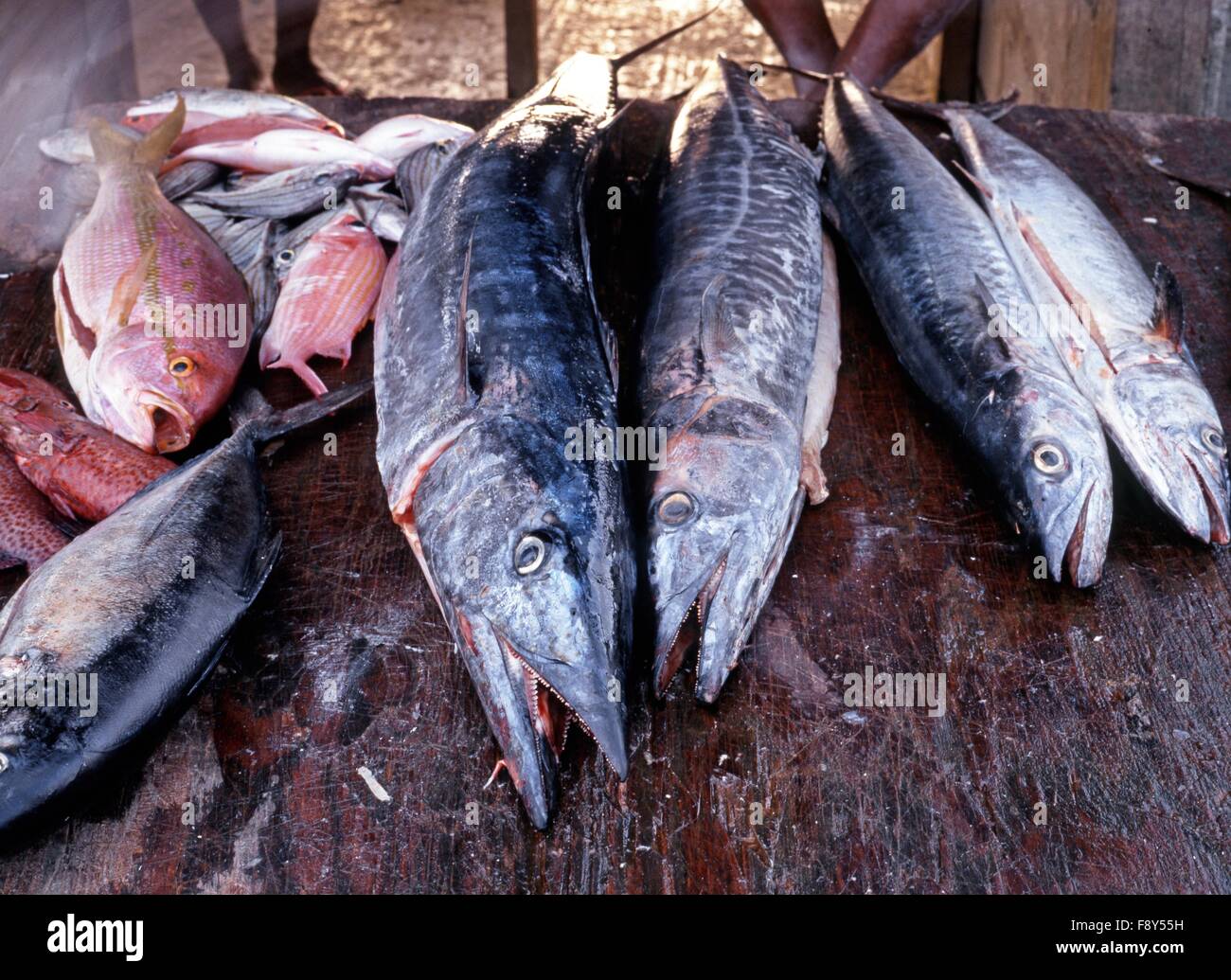 Fresh fish on display at the fish market, Tobago, Trinidad and Tobago, Caribbean Stock Photo Alamy