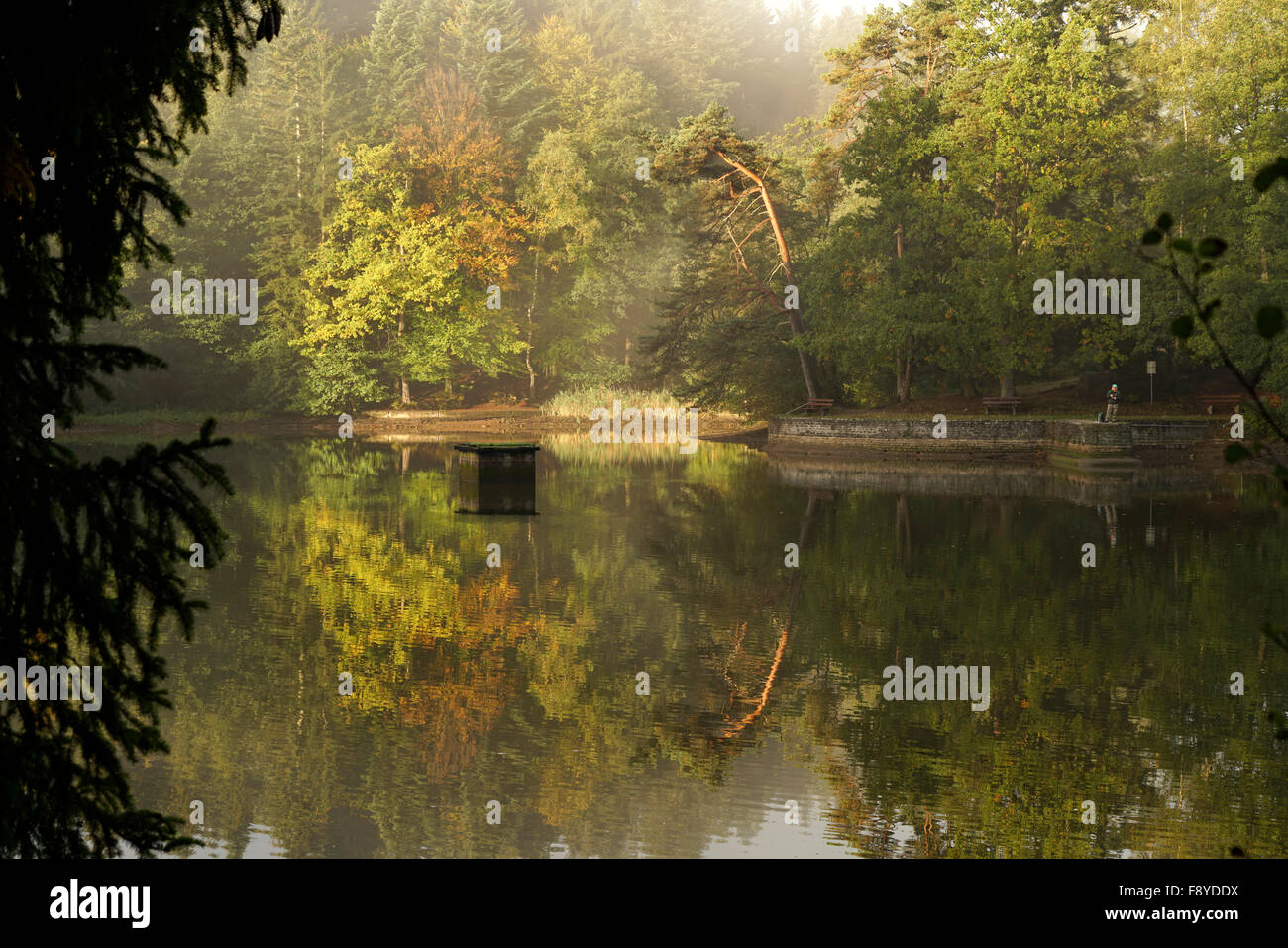 morning mood at lake Ebnisee, Rems-Murr-Kreis, Baden-Wuerttemberg, Germany Stock Photo