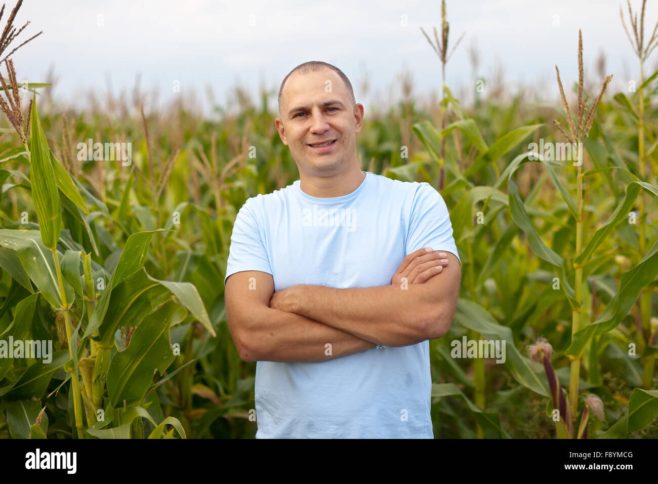Happy farmer in field of corn Stock Photo - Alamy