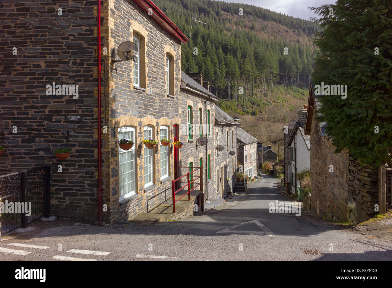 Small village street in Corris with slate workers cottages on the sloping lane clinging to the wooded slate mountainside. Stock Photo