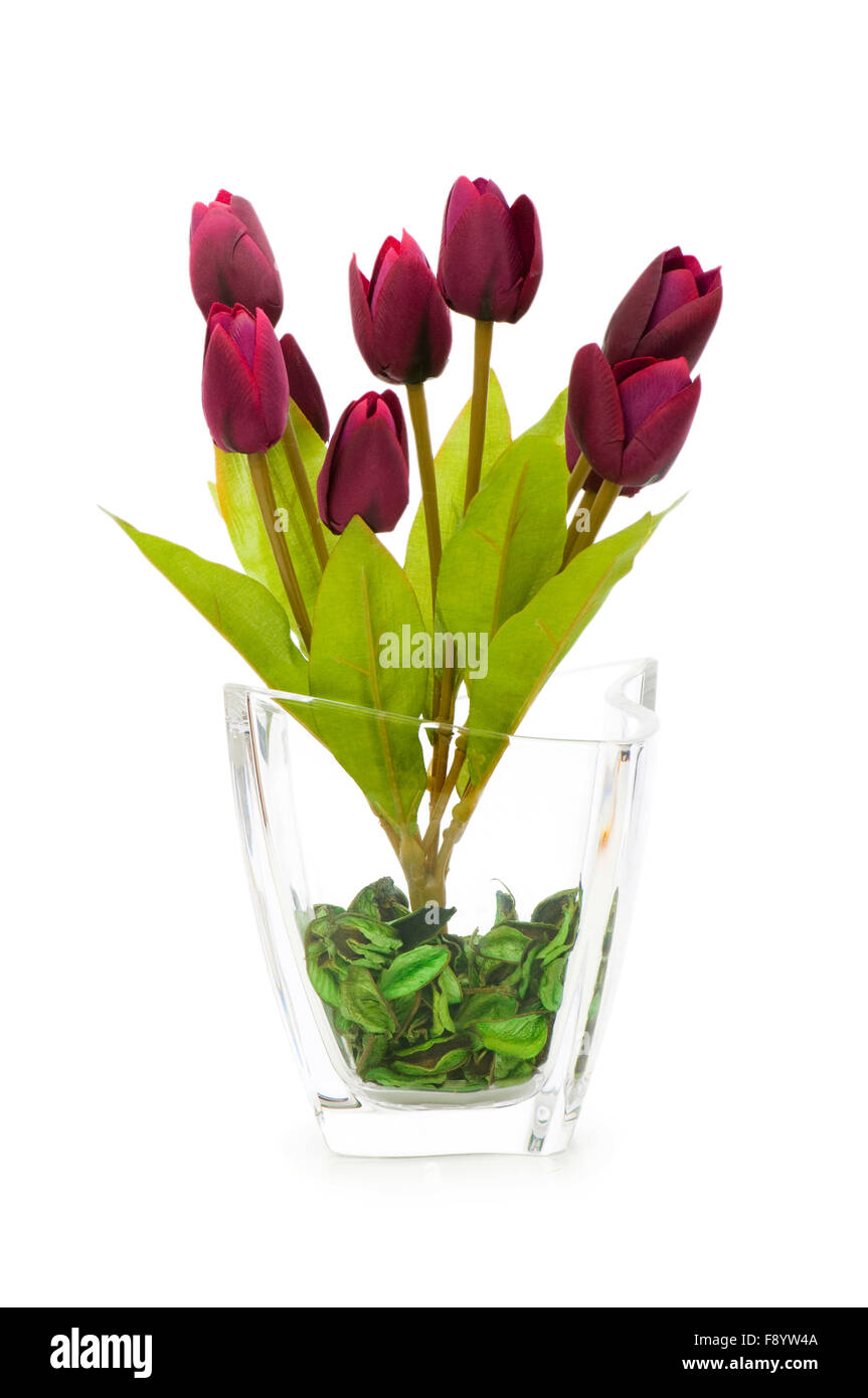 Colourful tulips isolated on the white background Stock Photo - Alamy