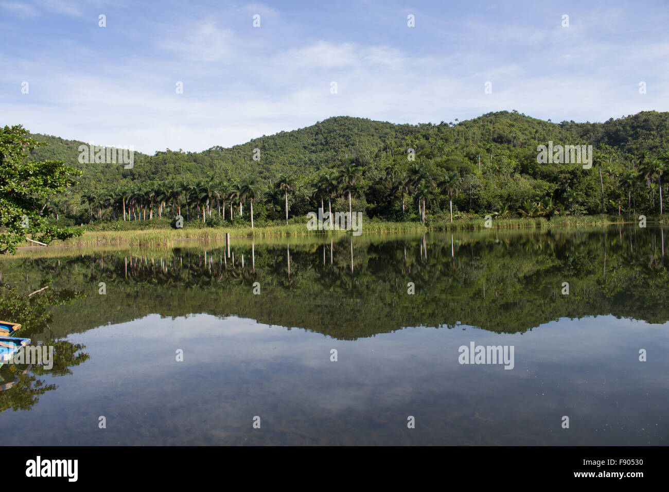 The trees are mirroring themselves in the lake Stock Photo