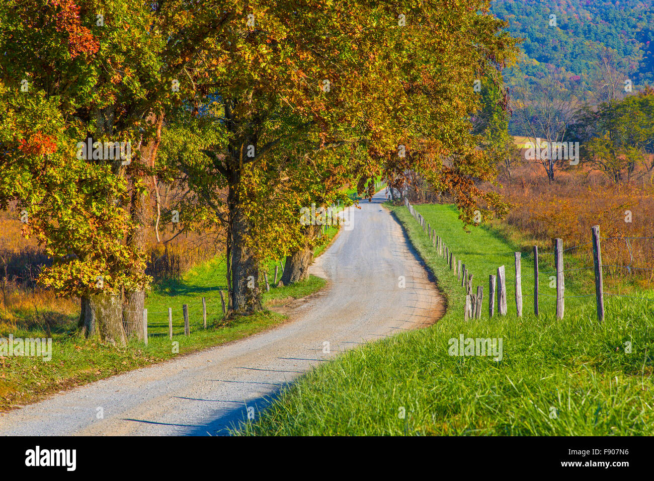 Hyatt Lane in Cades Cove in the Great Smoky Mountains National Park Tennessee Stock Photo