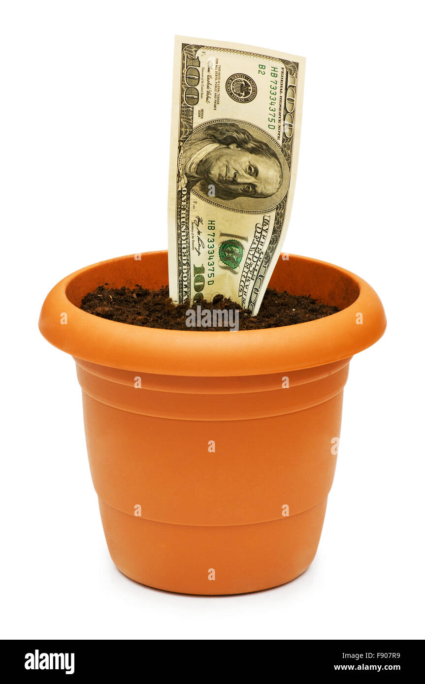 Dollar bank note isolated on the white Stock Photo Alamy