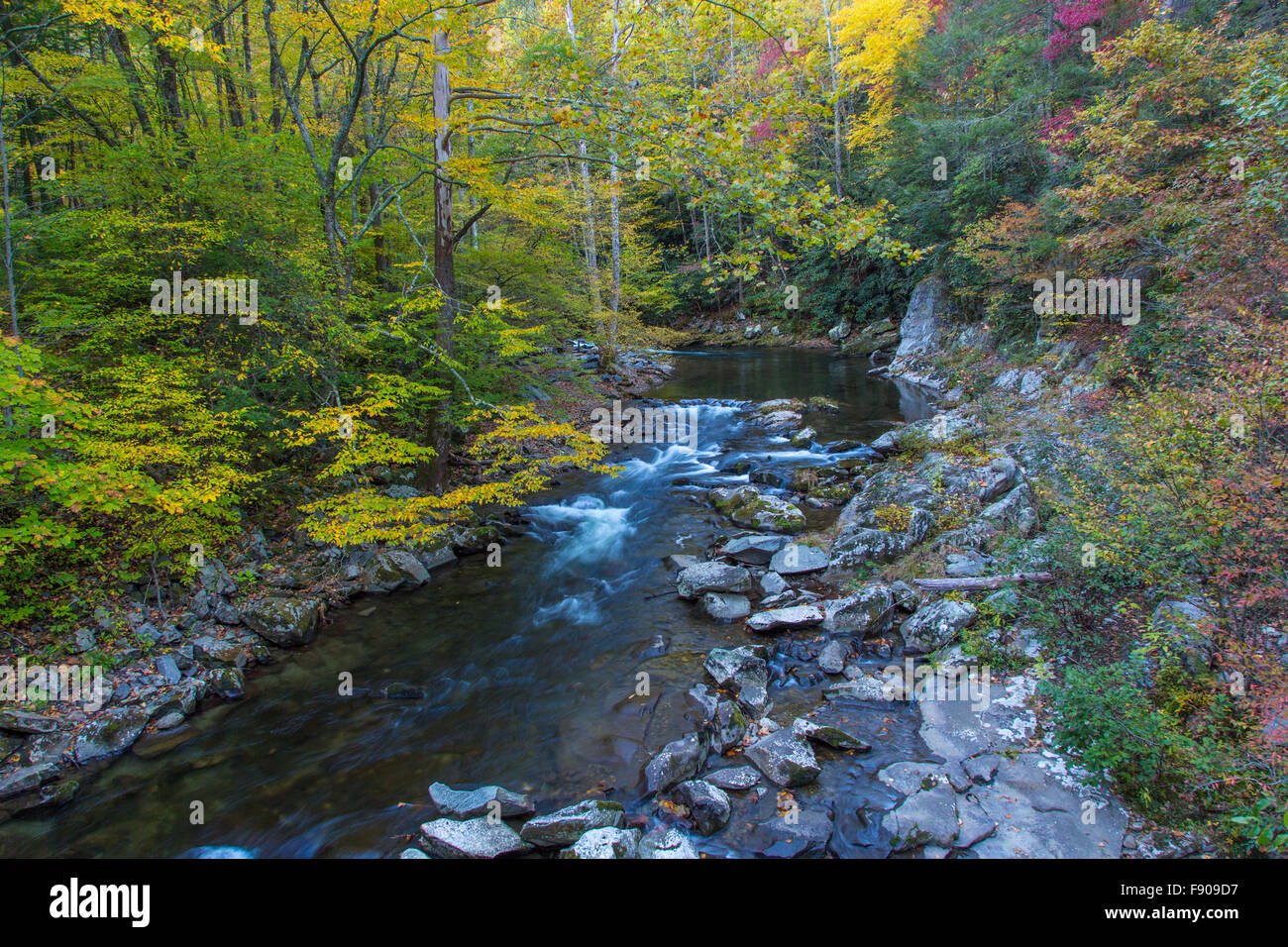 Fall color on creek along road to Cades Cove in Great Smoky Mountains National Park Tennessee Stock Photo