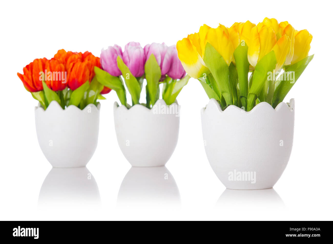 Tulips flowers isolated on the white Stock Photo - Alamy