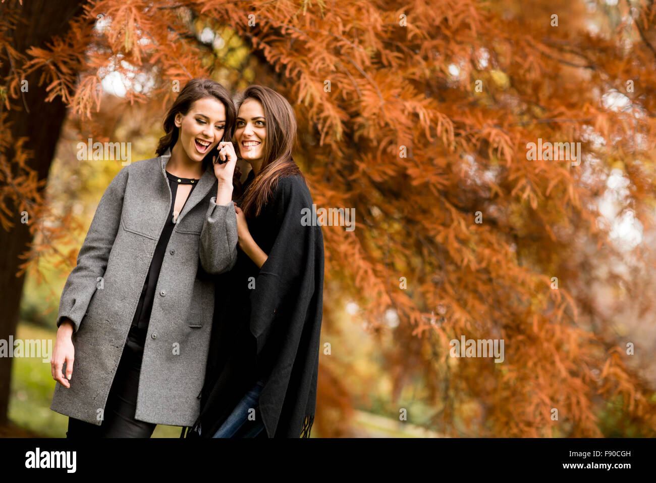 Pretty young women in the autumn park Stock Photo - Alamy