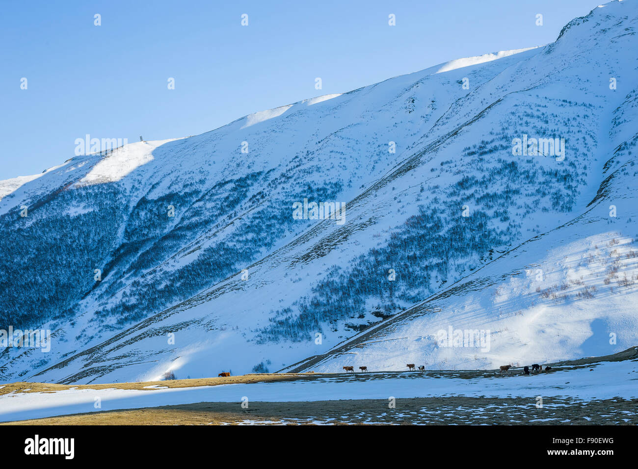 Beautiful snowy landscape of Georgia Stock Photo