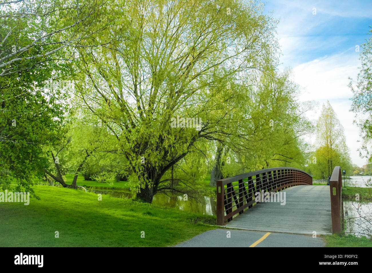 Dows Lake Park pedestrian bridge with spring in full bloom Stock Photo Alamy