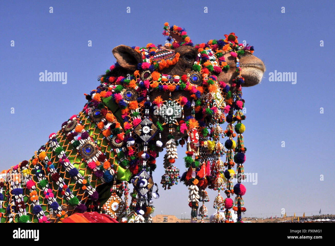 Beautifully Decorated Camel for best decorated camel competition during Jaisalmer Desert Festival at Jaisalmer Rajasthan, India. Stock Photo