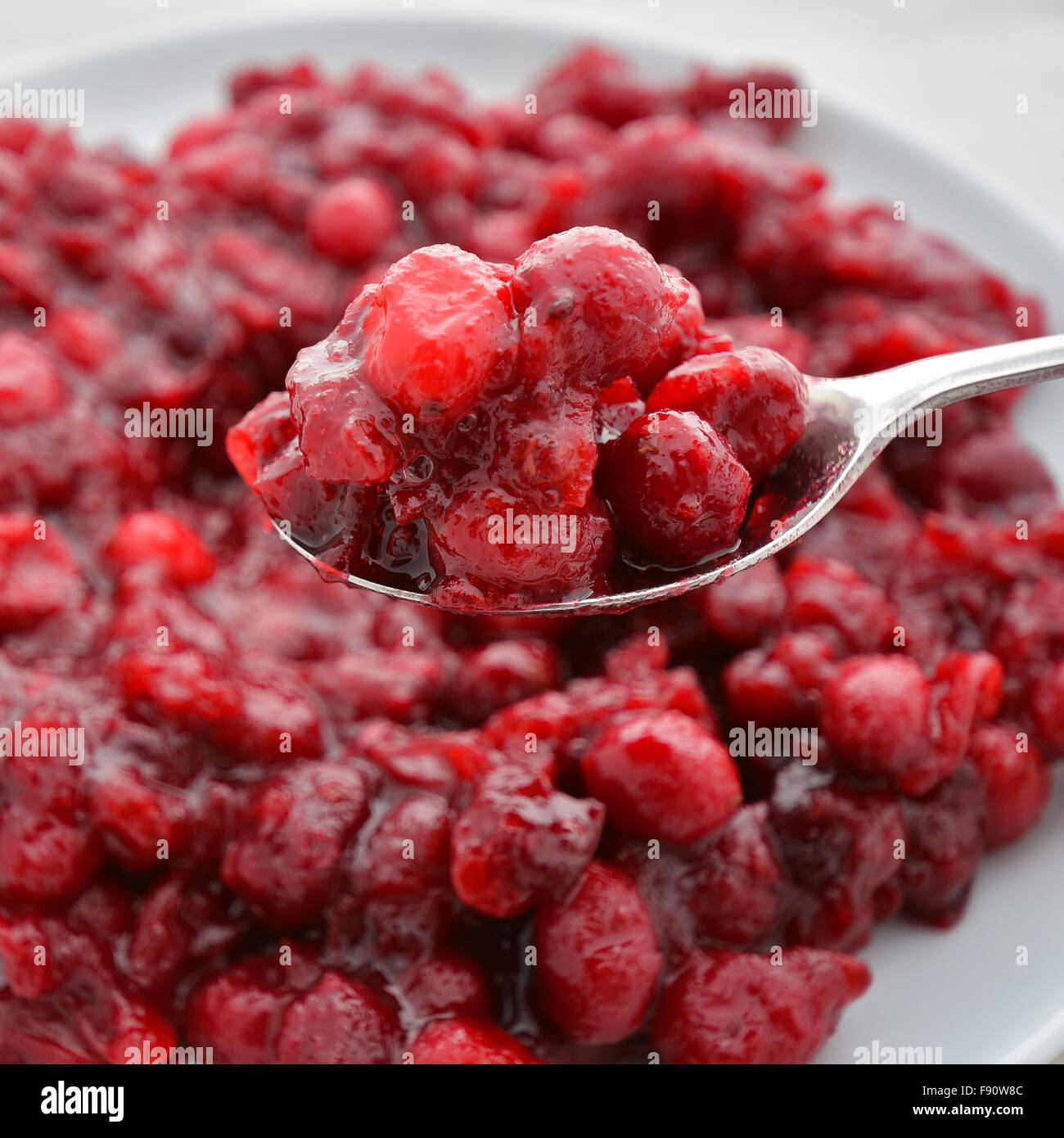 spoonful of cranberry sauce Stock Photo