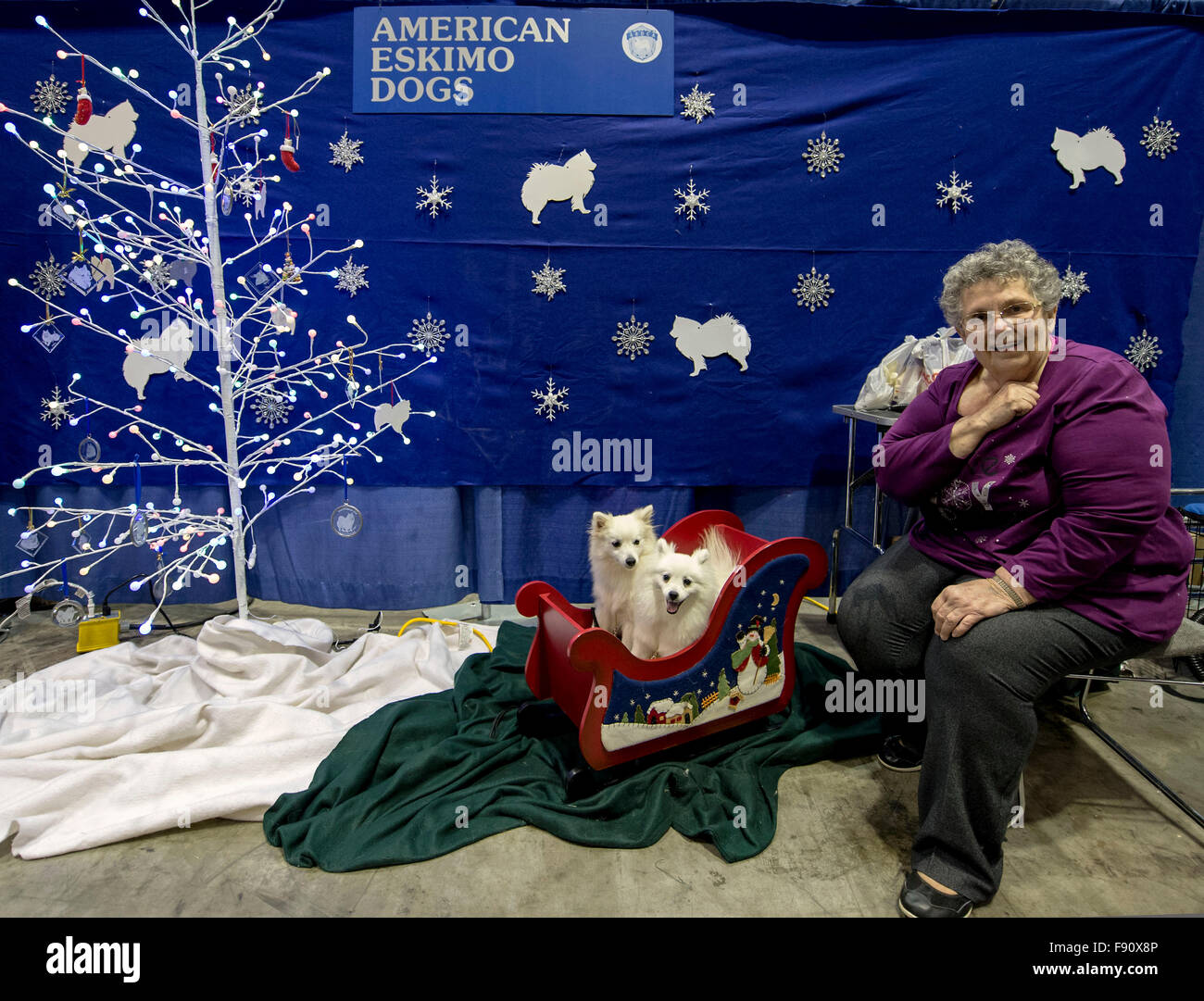 Orlando, Florida, USA. 12th Dec, 2015. The American Eskimo display at ''Meet The Breeds'' during the 2015 AKC/Eukenuba Championships. With over 6,100 entries, this is the largest dog show held in the United States in the last 20 years. © Brian Cahn/ZUMA Wire/Alamy Live News Stock Photo