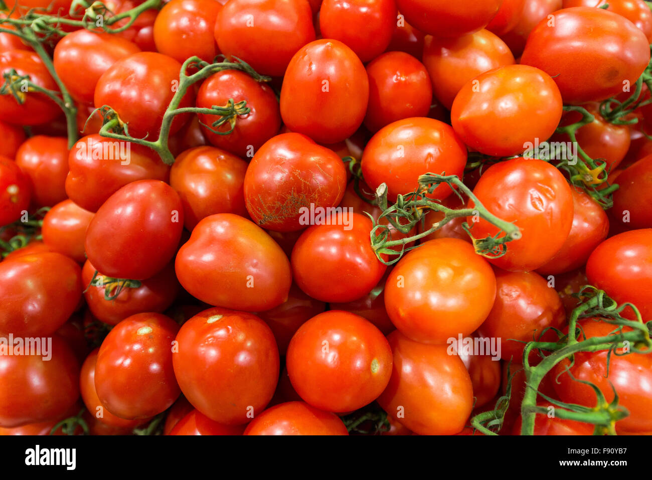 Market stall with lots of tomatoes Stock Photo - Alamy