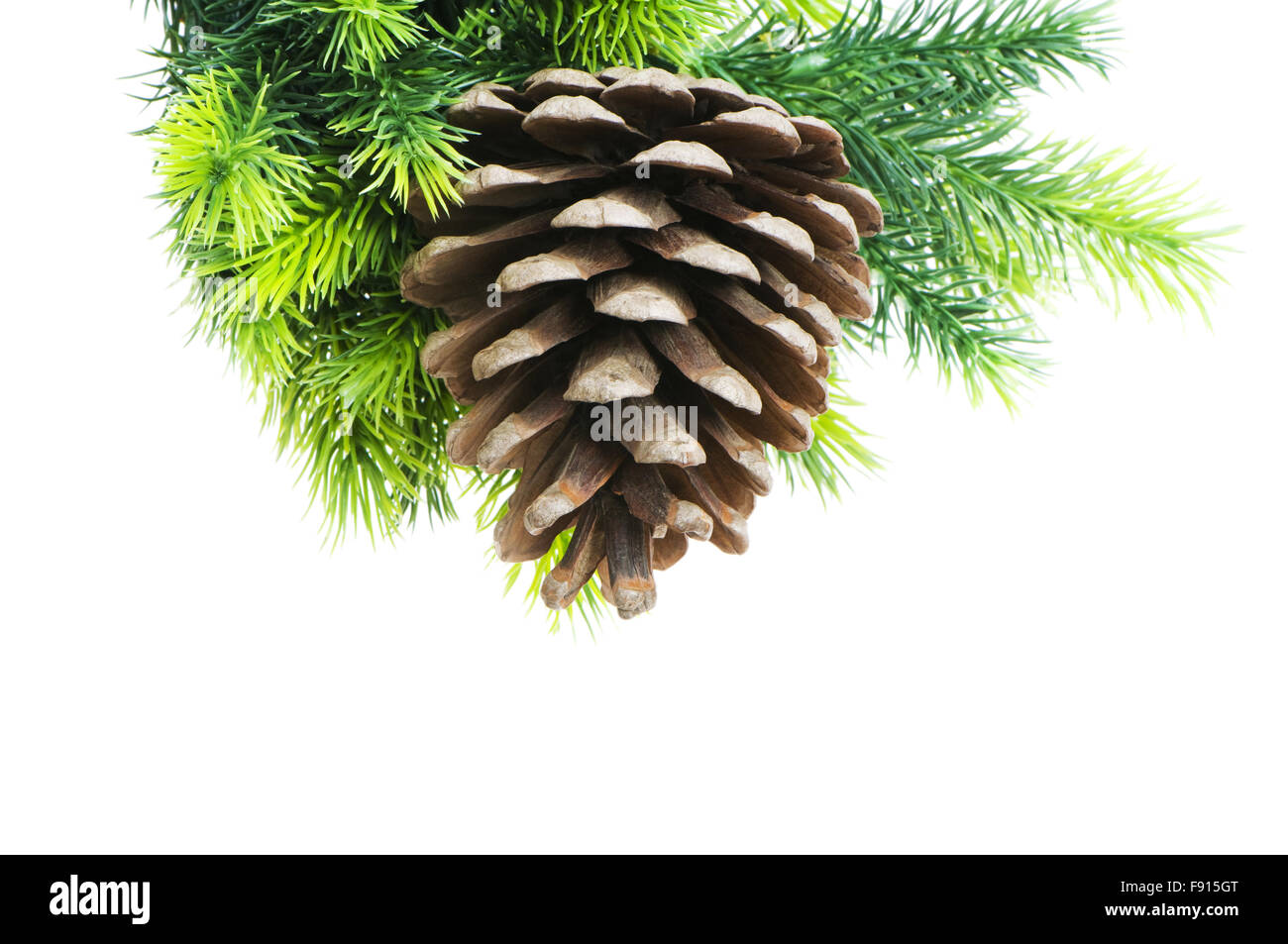 Christmas tree isolated on the white background Stock Photo - Alamy