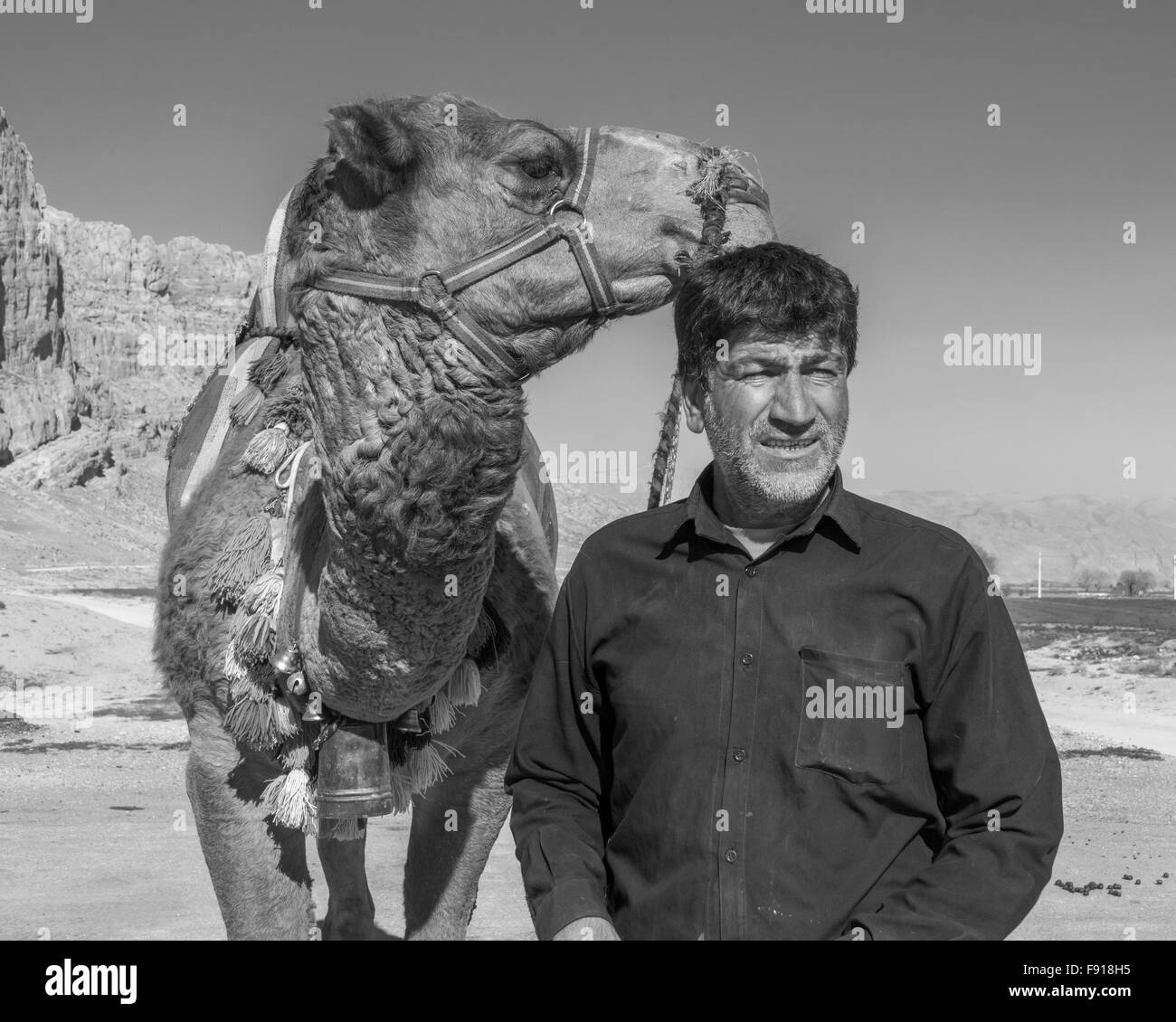 Portrait of a camel handler and his camel, Naqsh e Rostam, Mavdasht, Iran Stock Photo