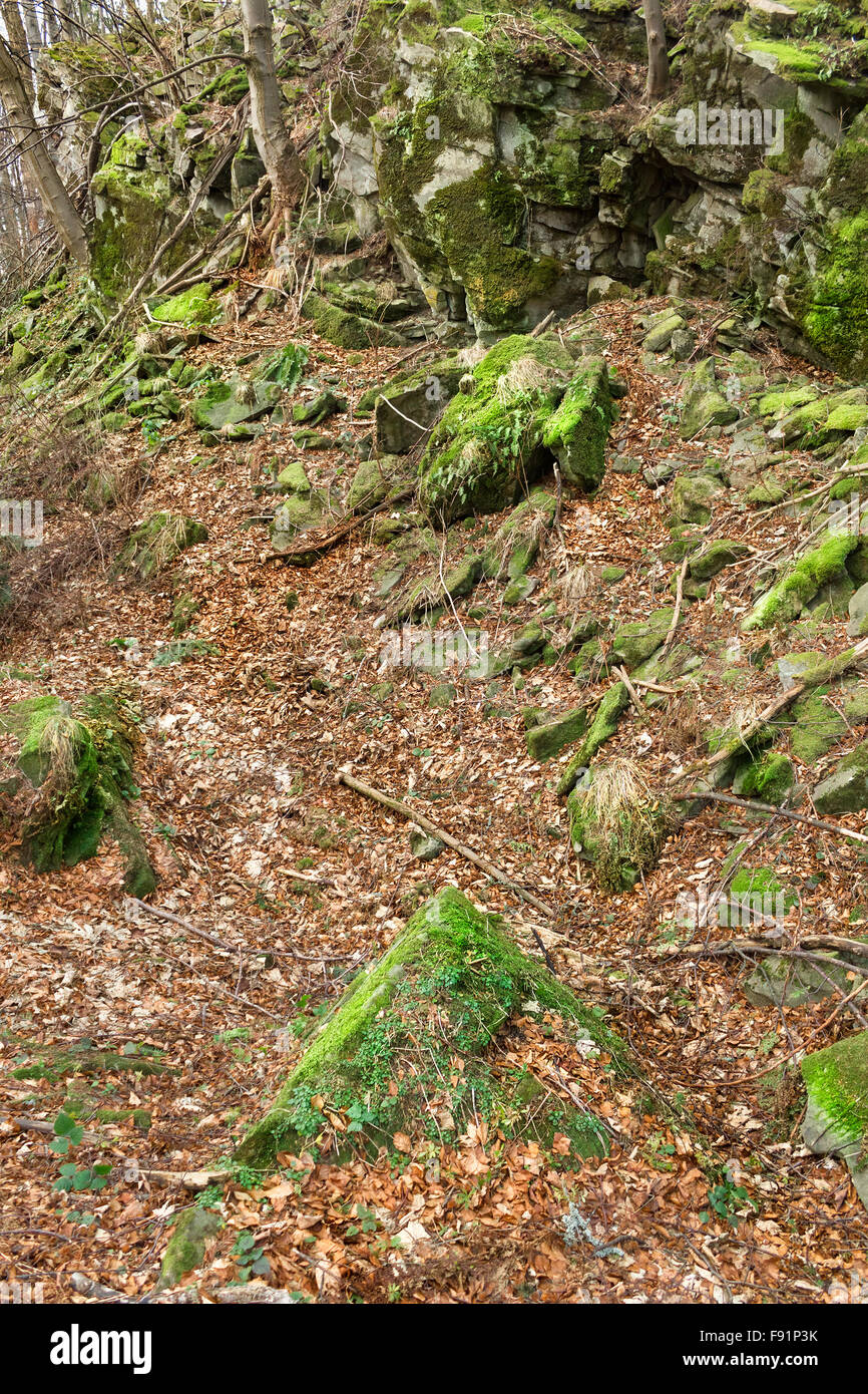 Moss on rocks Stock Photo - Alamy