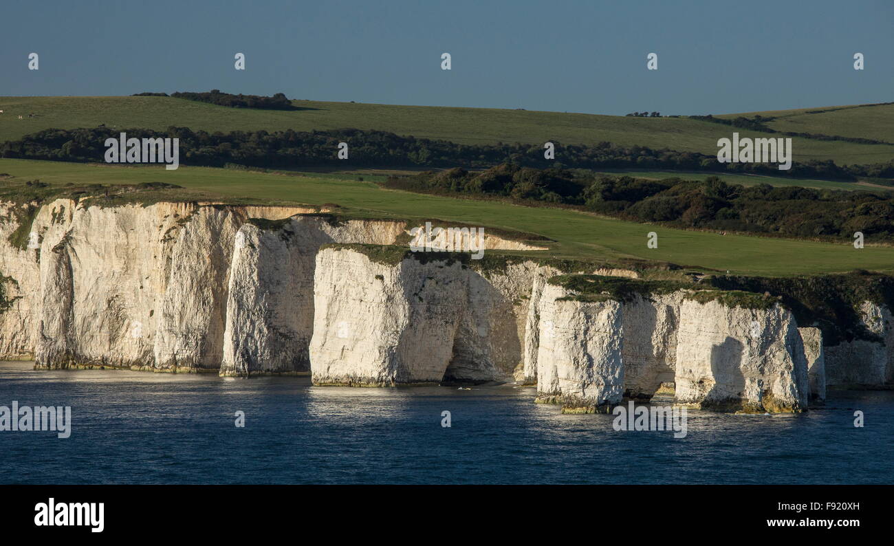 High chalk cliffs at Old Harry Rocks, Foreland Point, Dorset. Stock Photo