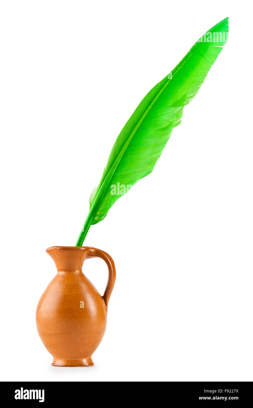 Student Writing Using Feather Graphics Writing feather isolated on the white background Stock Photo - Alamy