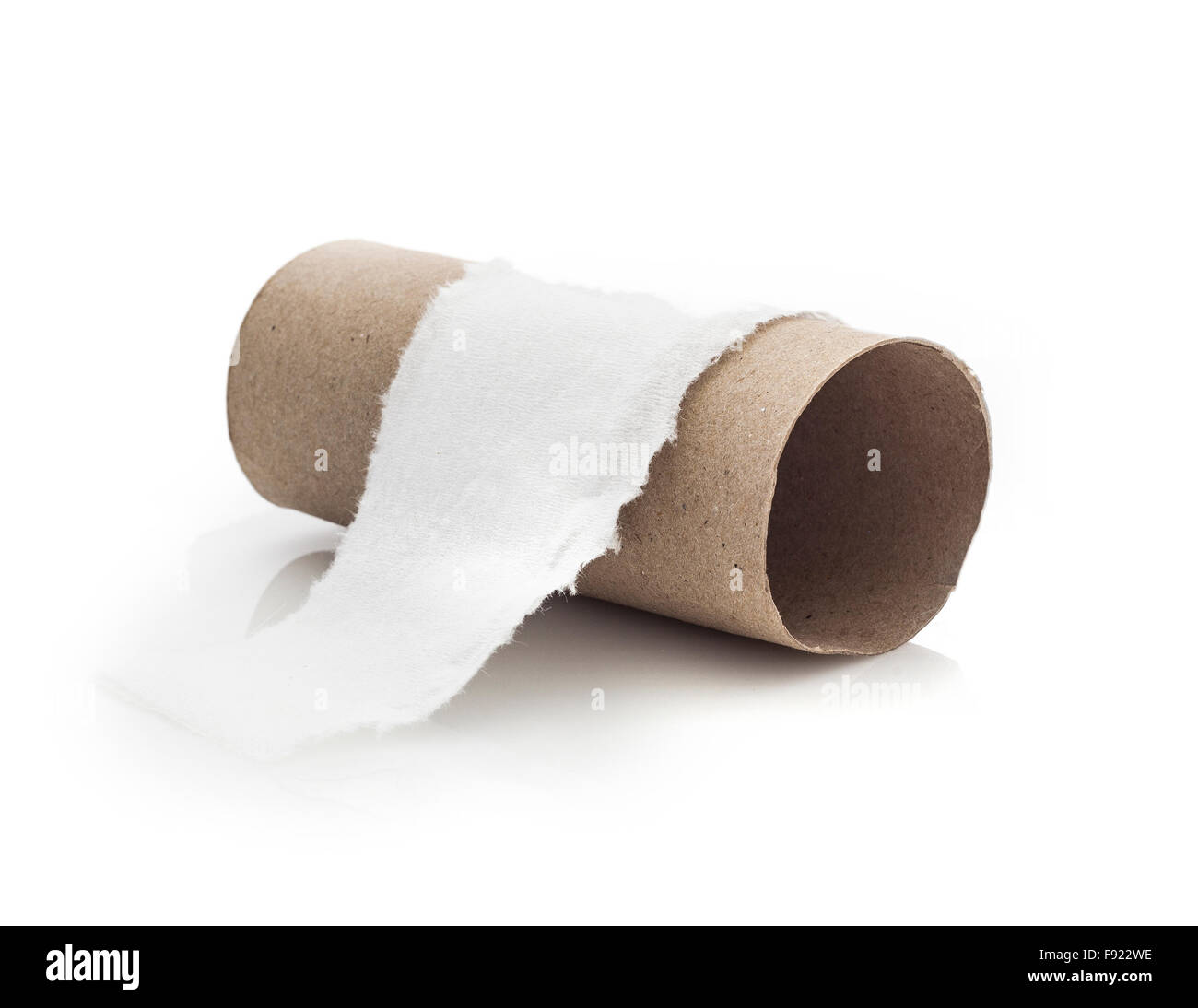 Single Empty Toilet Paper Roll Stock Photo - Image of empty