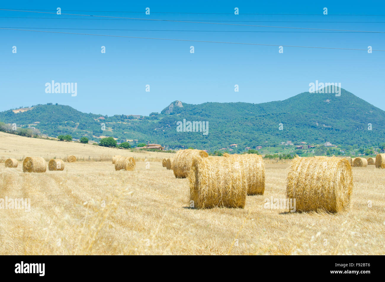 Field with rolls of hay on summer day Stock Photo - Alamy