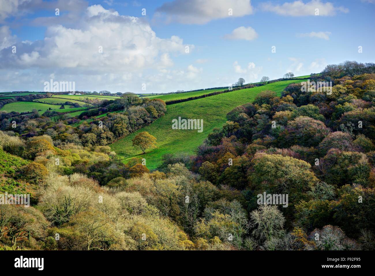 A late Autumn landscape showing lovely colorful rural countryside,farmland and woodland,blue sky,white clouds,on a sunny day. Stock Photo