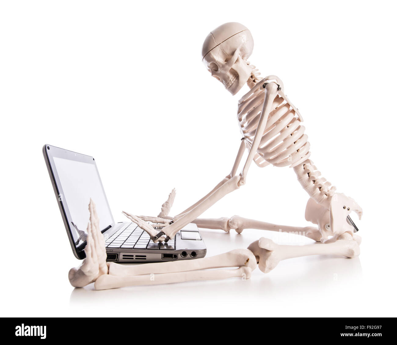 Skeleton working on laptop Stock Photo - Alamy