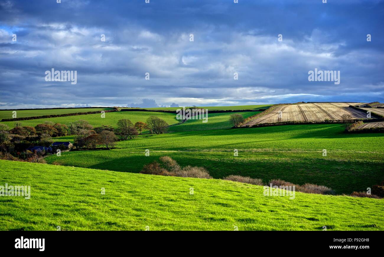 Rolling green pastures and harvested fields in wintertime sun, late afternoon with long shadows and beautiful grass color. Stock Photo
