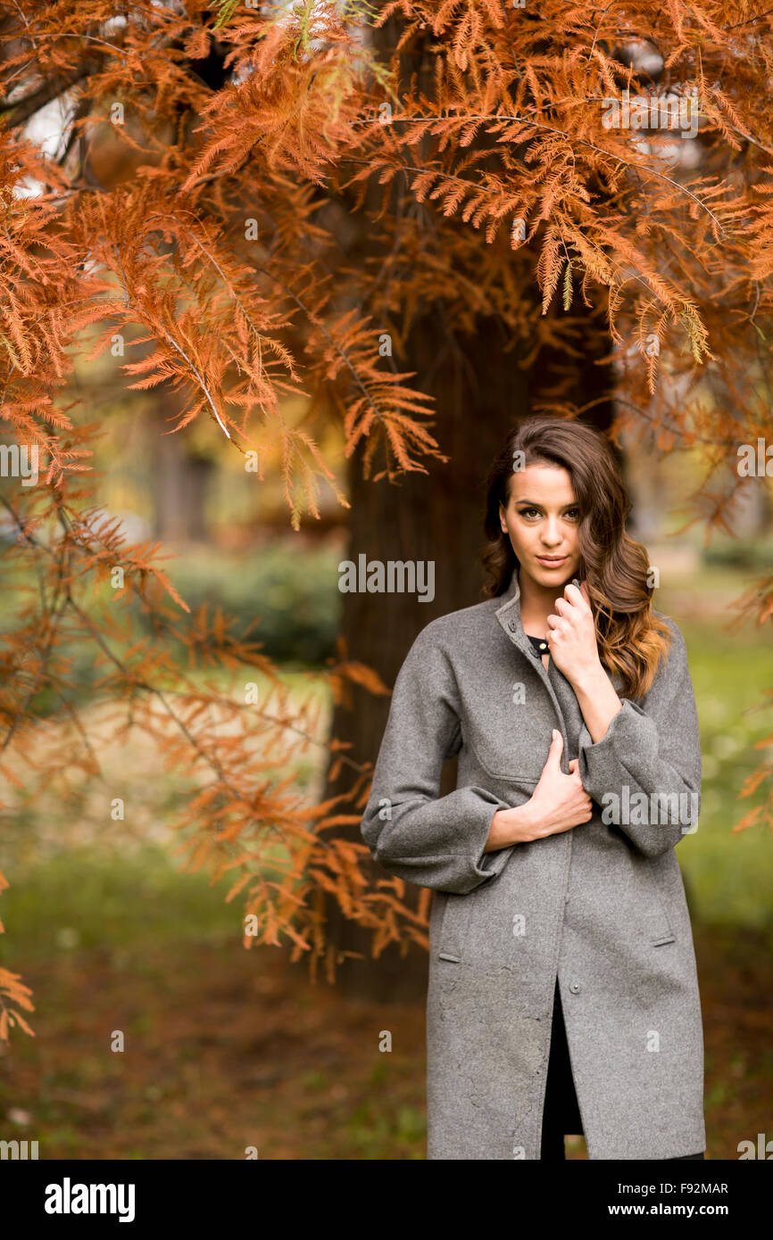 Pretty young woman in the autumn park Stock Photo - Alamy