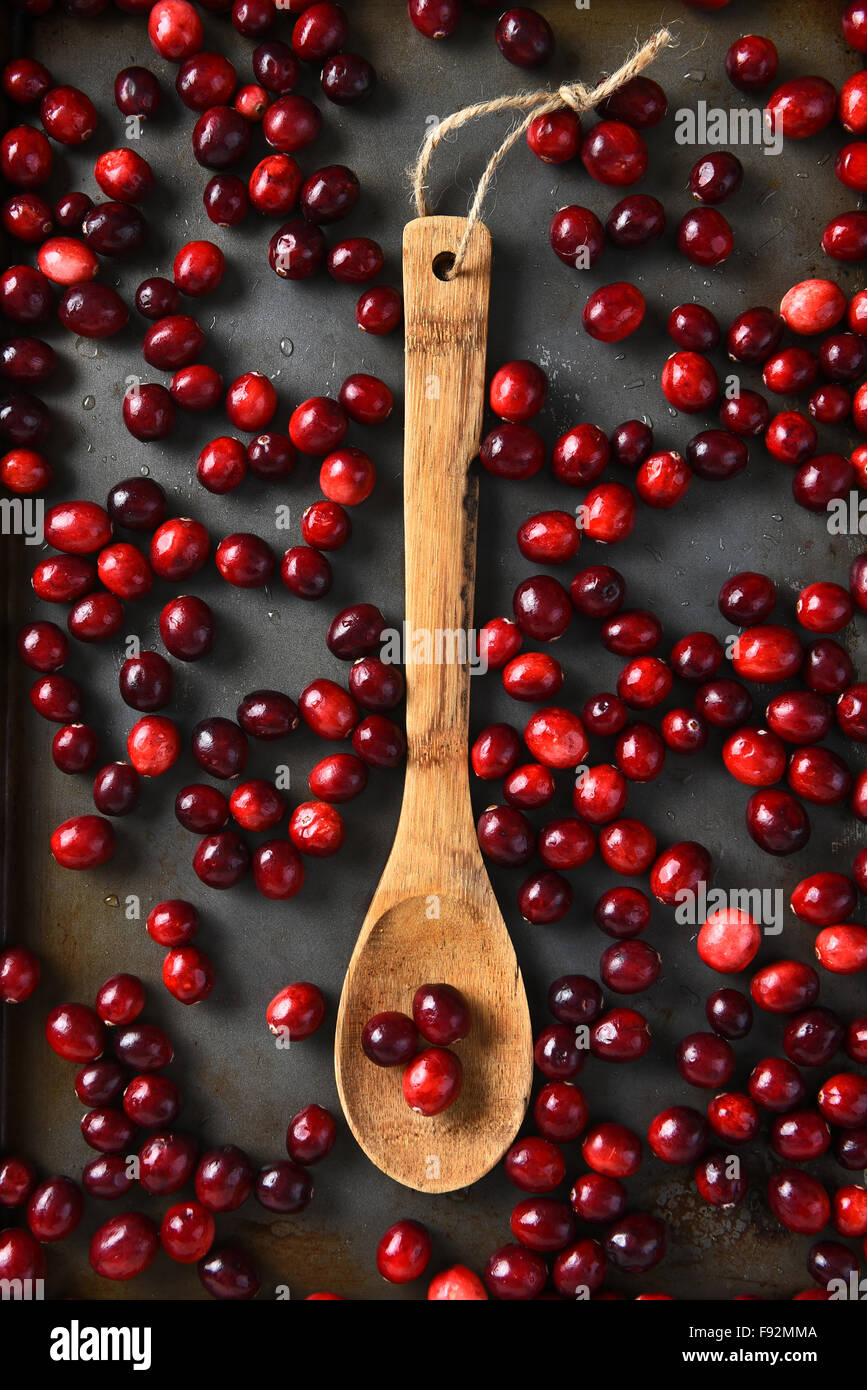 Overhead view of fresh cranberries and a wooden spoon. Vertical format. Stock Photo