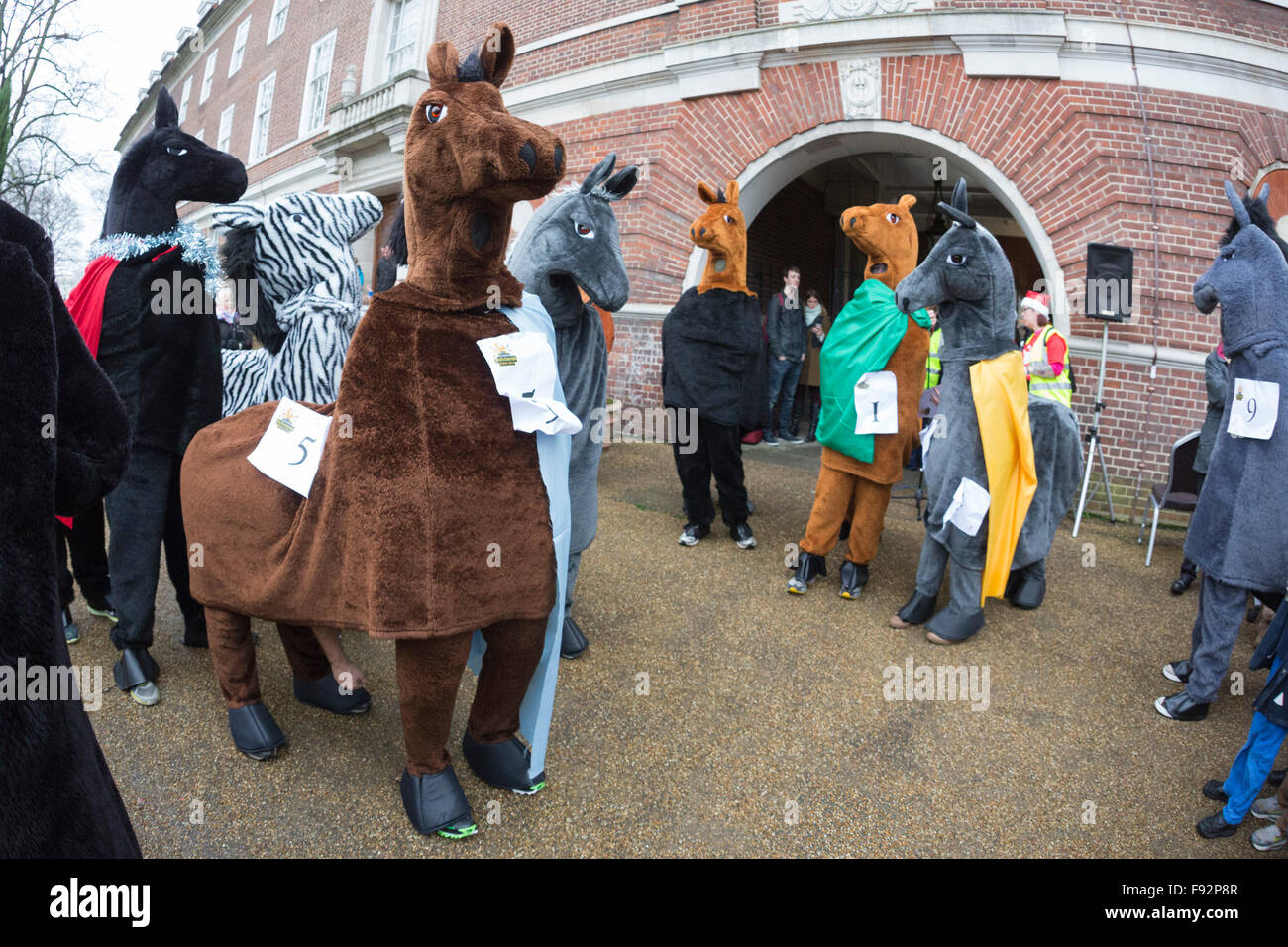 London, UK. 13 December 2015. The London Pantomime Horse Race, now in ...