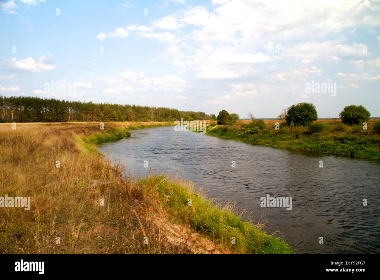 view of the beautiful river and forest Stock Photo - Alamy