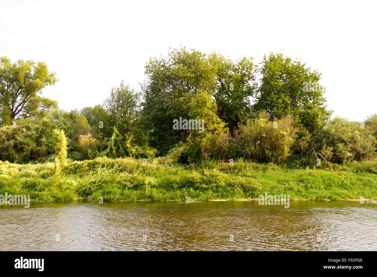 view of the beautiful river and forest Stock Photo - Alamy