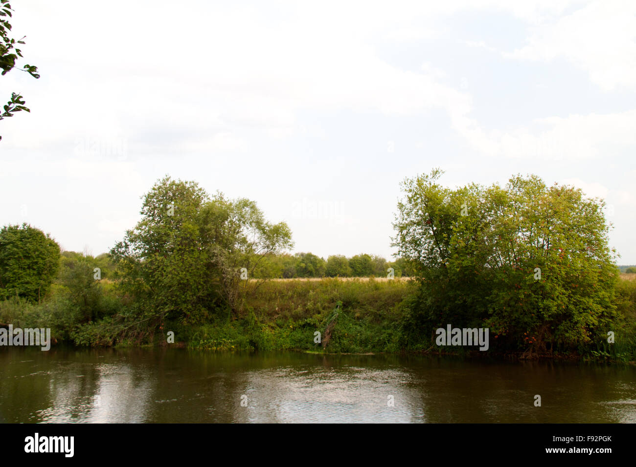 view of the beautiful river and forest Stock Photo - Alamy