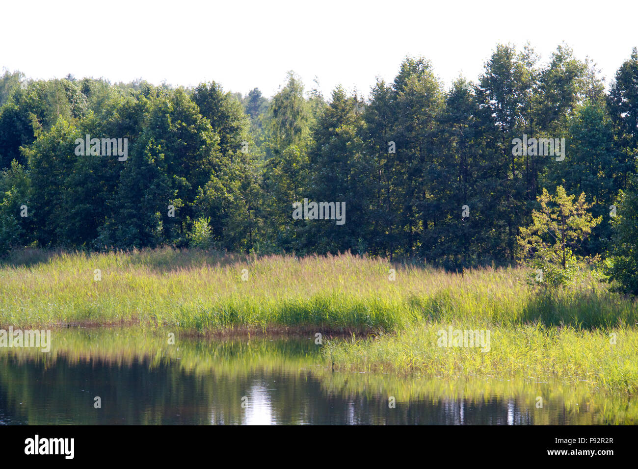view of the beautiful river and forest Stock Photo - Alamy