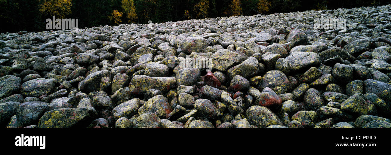 A large shingle field at an elevation of ca. 260 m. Skuleskogen National Park. Sweden. Stock Photo