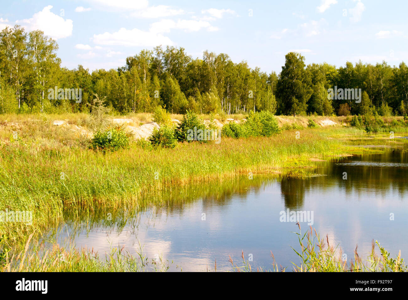 view of the beautiful river and forest Stock Photo - Alamy