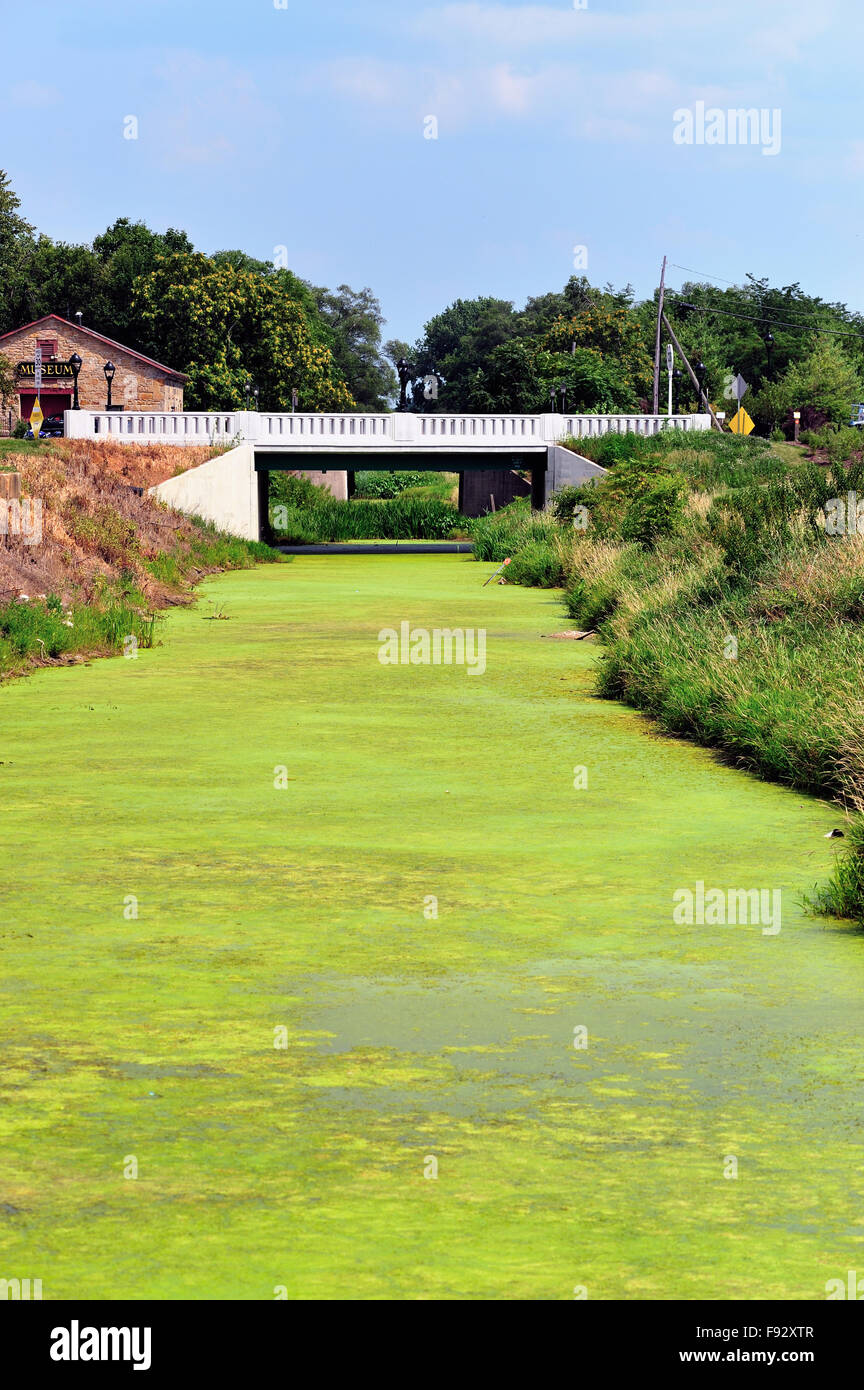 An algae-laden segment of the Illinois and Michigan Canal as it passes under a highway bridge in Utica, Illinois, USA. Stock Photo
