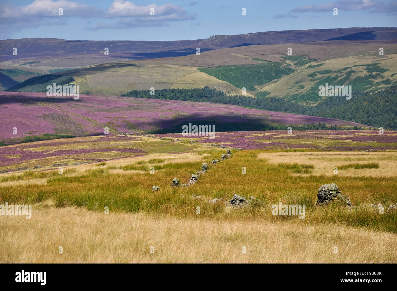 Beautiful view over the colourful moorlands above the Derwent valley in the Peak District, Derbyshire, England. Stock Photo