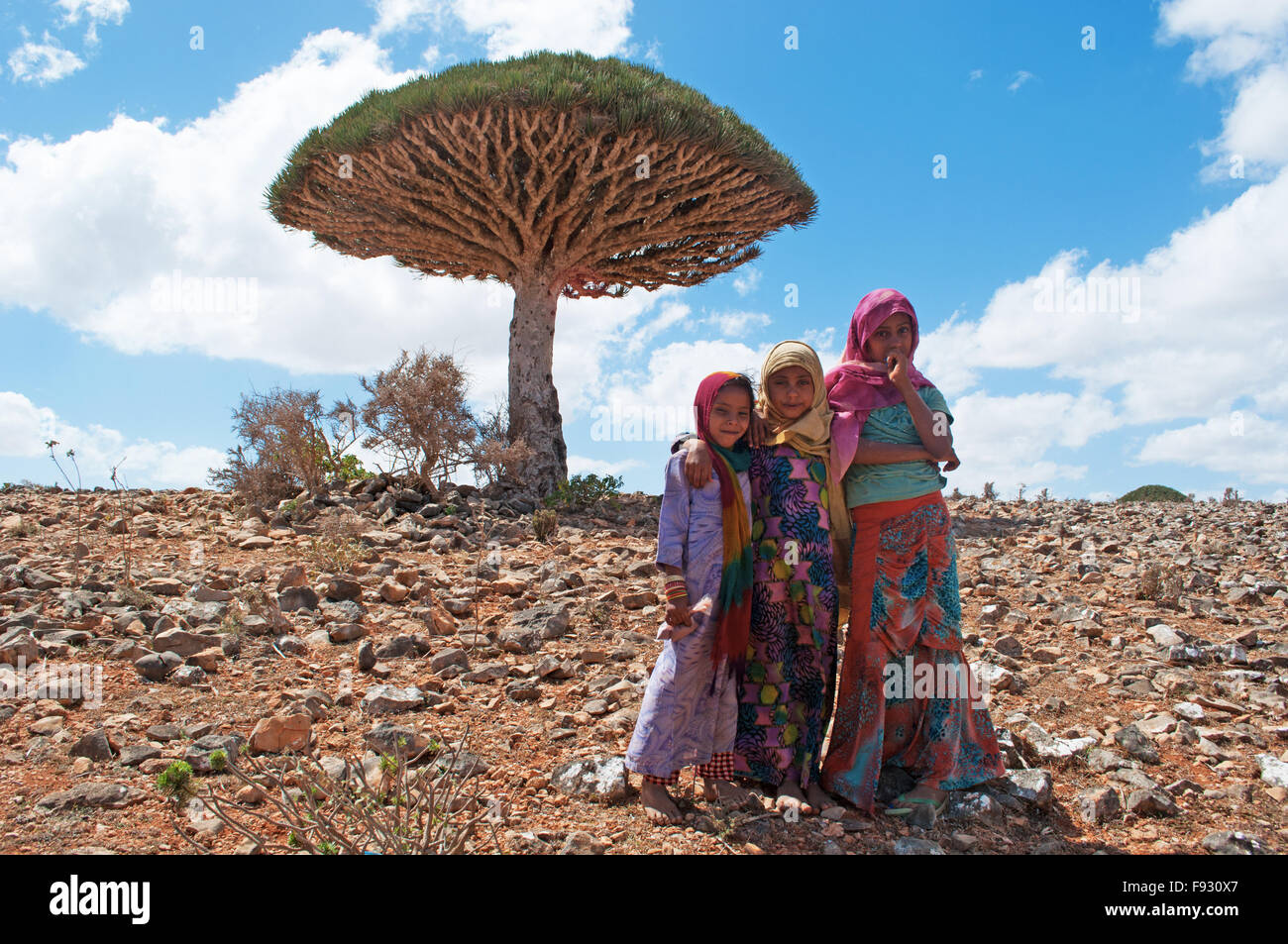 Socotra Yemen Middle East Yemeni Girls And A Dragon Blood Tree In The Protected Area Of Shibham Dixam Plateau Center Of Unique Biodiversity Stock Photo Alamy
