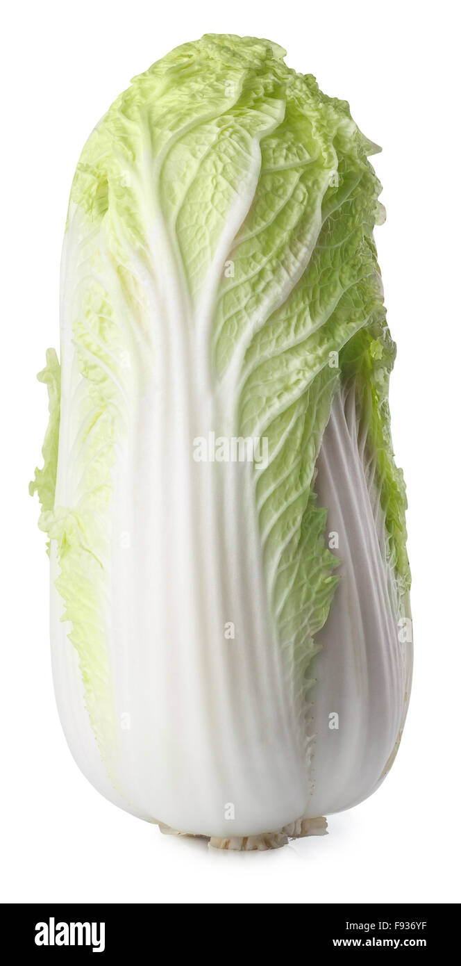 single fresh Chinese cabbage isolated on white background Stock Photo