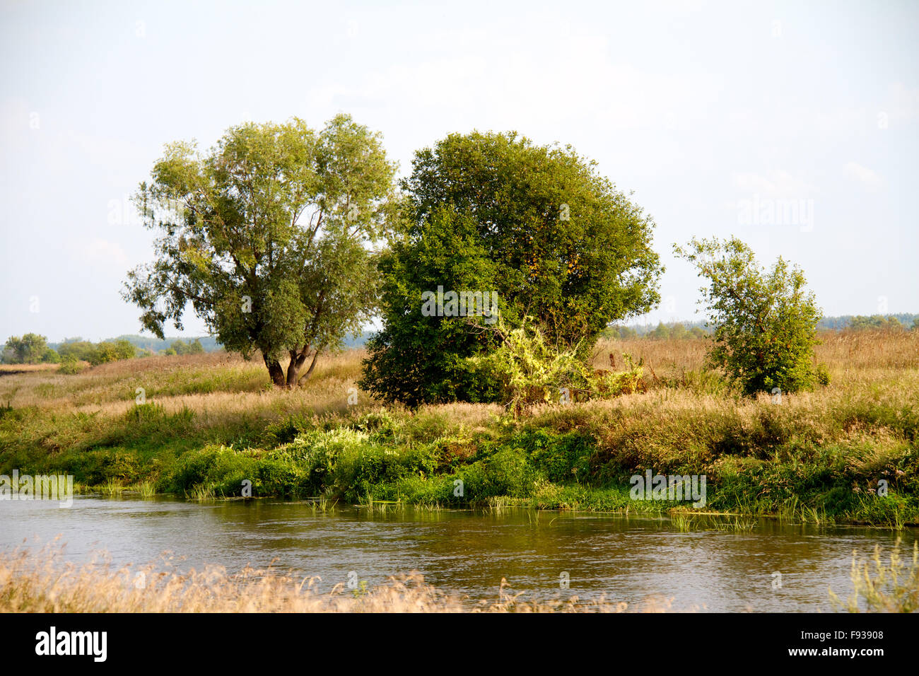 view of the beautiful river and forest Stock Photo - Alamy