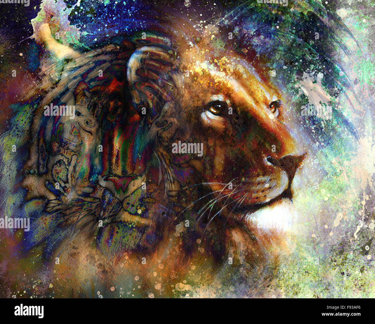 portrait lion and Tiger face, profile portrait, on colorful abstract  feather pattern background. Abstract color collage with spo Stock Photo -  Alamy